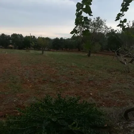 Guaceto - Un Pradiso Tra Mare E Campagna