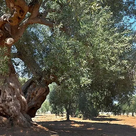 Guaceto - Un Pradiso Tra Mare E Campagna * Serranova